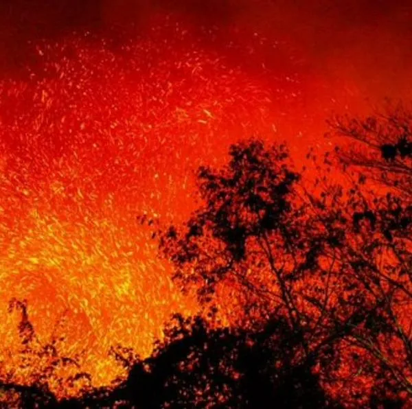 Conozca los detalles de la emergencia por el voraz incendio forestal en Gualanday, Tolima, que ha consumido 300 hectáreas y movilizado a los bomberos.