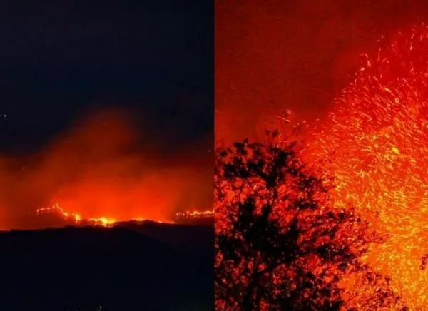 ¡Alarmante cifra! Los incendios forestales siguen azotando al Tolima