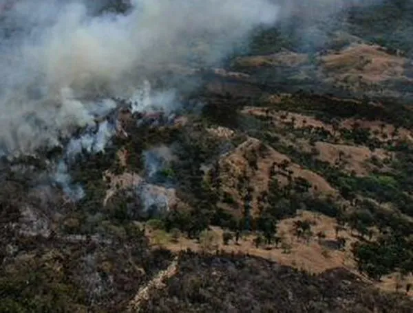 Gobierno de De la Espriella desplegó más operaciones de atención por los incendios en Tolima