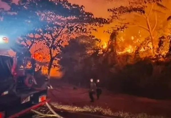 Incendios en Tolima | Se agrava emergencia por 24 incendios forestales; 20.000 hectáreas afectadas