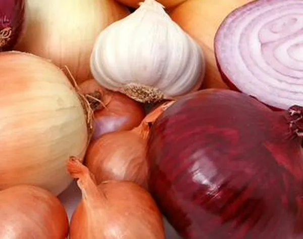 ¿Cuál es la diferencia entre cebolla blanca, morada, amarilla y cómo elegirlas?
