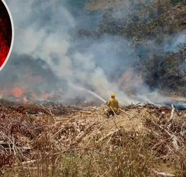 Ortega, cercado por el fuego: 14.000 hectáreas afectadas y 35.000 reses bajo amenaza