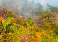 Incendio en Suárez amenaza el suministro de agua en zona rural