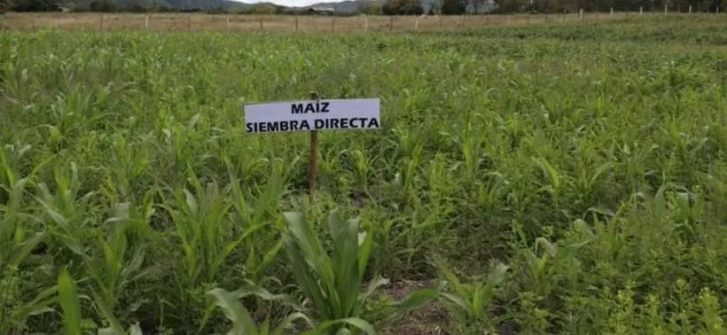 tarjeta noticia