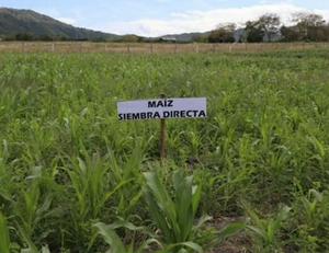 imagen nota inferior