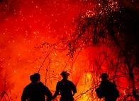 Provocar un incendio forestal da hasta 15 años de cárcel