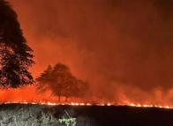 Los municipios más afectados por incendios forestales en el Tolima