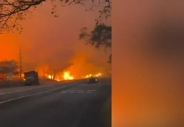 Defensoría alerta por nueve incendios forestales activos en Tolima y otras regiones