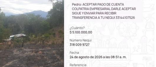 tarjeta noticia