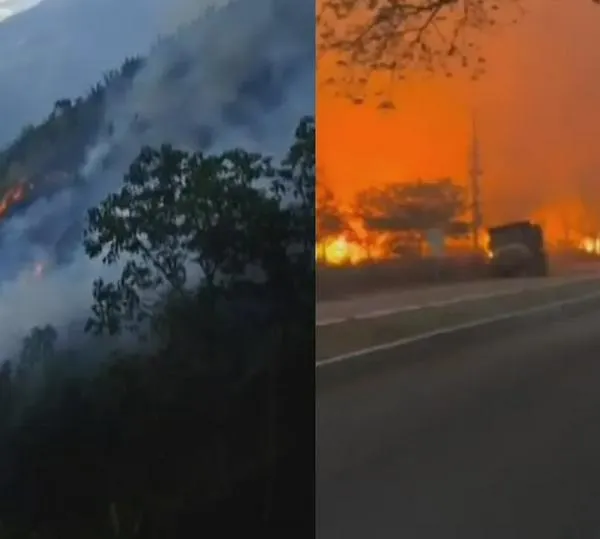 Provocar un incendio forestal puede costarle hasta 15 años de cárcel y millonarias multas