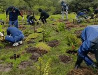 Impulsan acciones de restauración ecológica en el Parque Arqueológico y del Patrimonio Cultural de Usme, al sur de Bogotá 