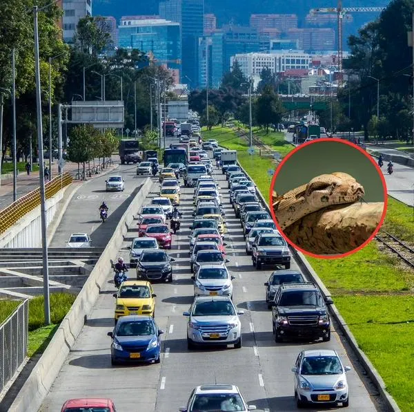 Carros en Bogotá