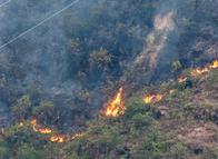 Incendios forestales en Tolima: diez focos activos afectan seis municipios y complican labores de emergencia