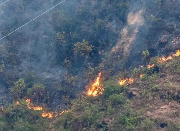 Estos son los incendios activos este martes en el Tolima