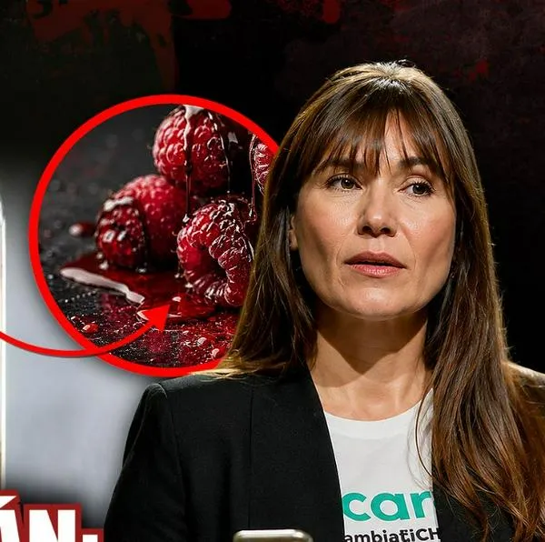 Nuevos detalles de el caso de Zulma Guzmán: hay revelación clave