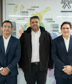 Imagen representativa del artículo
