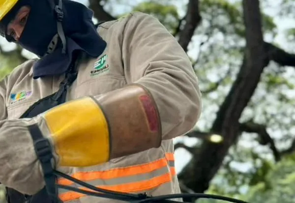 ¿Cómo realizar la solicitud de suspensión temporal de servicios para zonas afectadas del sismo?