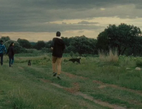 Del 3 al 13 de septiembre, recorre el cine latinoamericano en la Cinemateca 