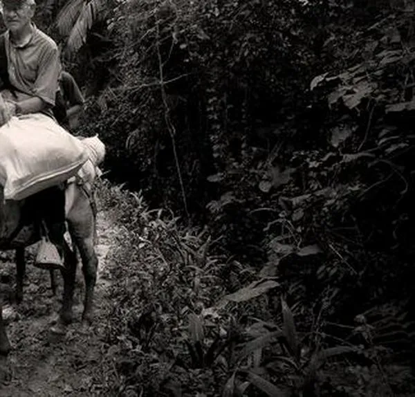 El padre Javier Giraldo: una vida caminando junto a las víctimas 