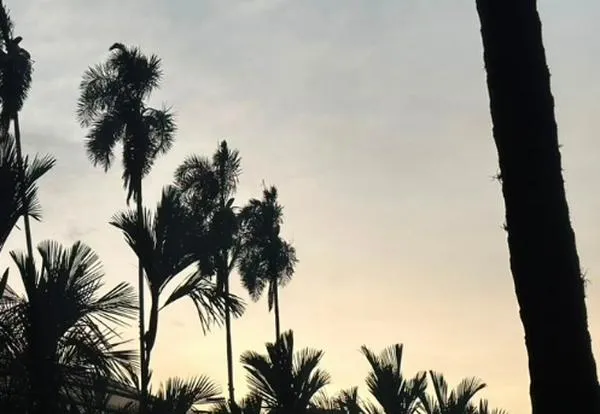 ¿Qué clima hará en Cali este miércoles? CVC y el pronóstico para hoy
