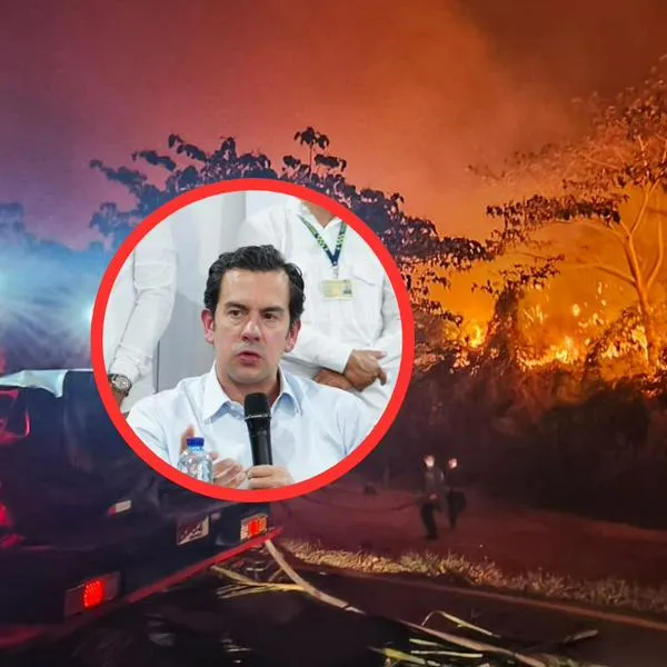 Bomberos, Ejército, Policía y comunidades trabajan contrarreloj durante la madrugada para contener los focos más intensos en San Luis y Coello.