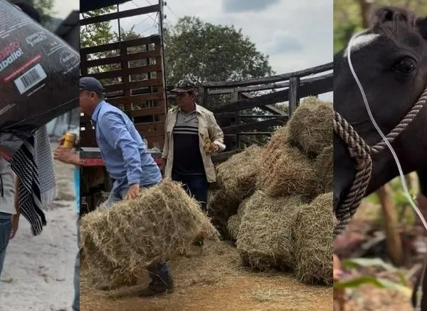 Muleros Tolima se puso la emergencia al hombro: lleva ayudas a San Luis