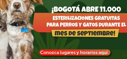 tarjeta noticia