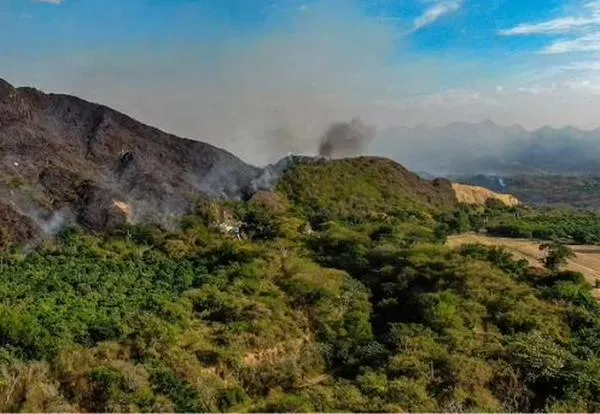 Emergencia en Tolima: Militarizan zonas de incendios forestales ante indicios de actos ilícitos