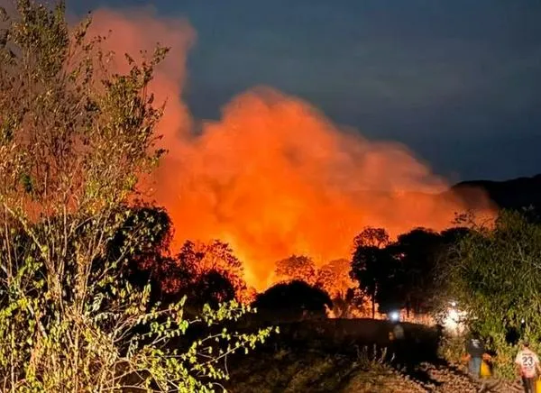 ¡Preocupante! El Tolima registra 11 incendios activos este miércoles
