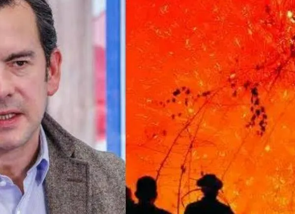 Ministro Lara confirma capturas por incendios en el Tolima