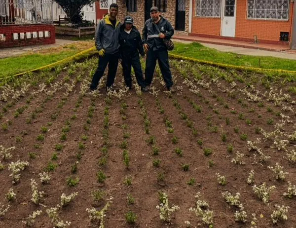 Jardín Botánico de Bogotá renovó jardinera del parque Quirigua de Engativá 