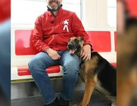 El Metro de Bogotá será pet friendly: Hashi, primer perro en subirse a uno de los trenes 