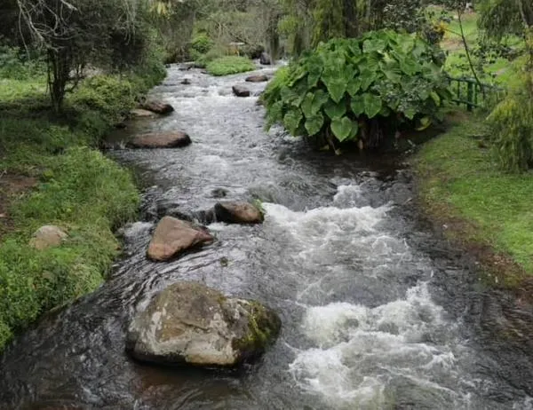 ¿Conoces el impacto que generan tus actividades diarias en el consumo y uso del agua proveniente de ríos? Ayuda al planeta  