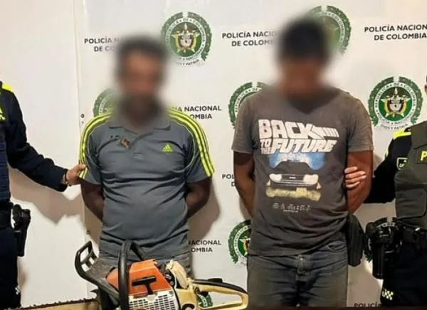 Capturan a dos hombres por incendio y tala de árboles en el Tolima