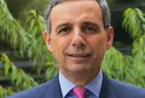 Imagen representativa del artículo