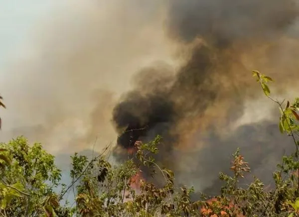 Tolima enfrenta una nueva jornada crítica por los incendios forestales