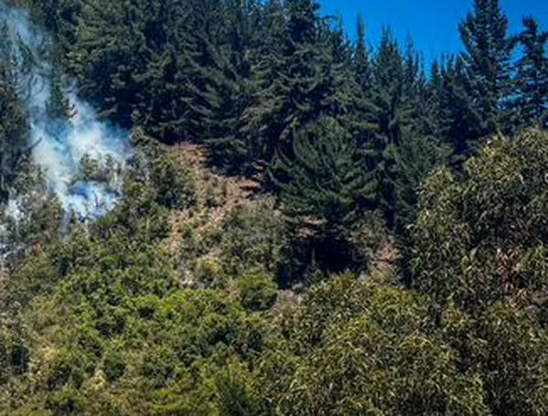 Dieciséis incendios en un día golpearon Cundinamarca: tres continúan activos