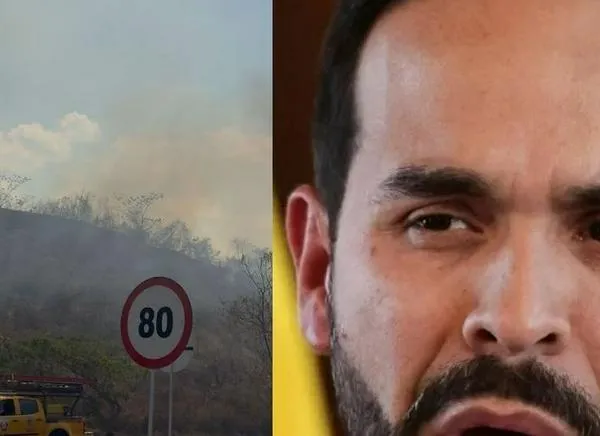 Abelardo anunció $50 millones para quien entregue pirómanos en el Tolima