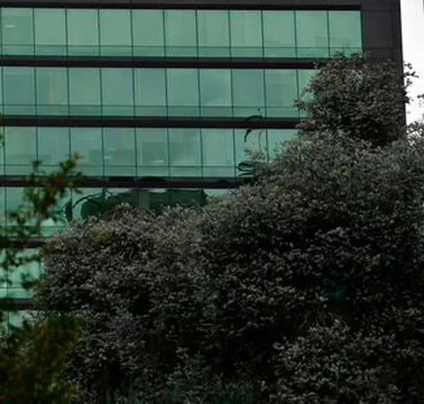 La ciencia, otra vez perdiendo plata: el presupuesto de De la Espriella reduce la inversión
