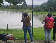 Participa en septiembre y octubre en el LabCo en torno a las aves del Bosque Urbano en El Tunal con BibloRed Bogotá 