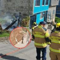 Capturan a adulto mayor que fue grabado prendiendo fuego a zona verde en Bogotá