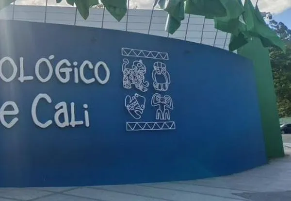 Habrá entrada gratuita en el Zoológico de Cali para los niños; fecha y requisitos del beneficio