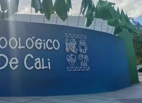 imagen nota