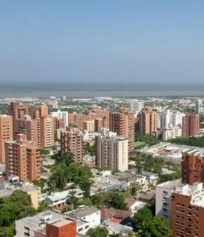 Imagen representativa del artículo