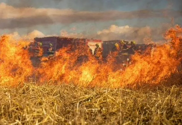 Incendios forestales mantienen en alerta a Colombia: Tolima, el departamento más afectado