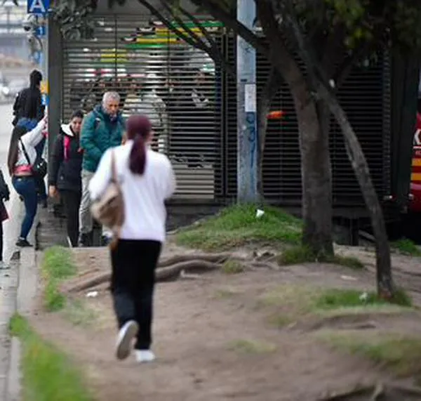 Lo que dicen las cifras de los colados en Transmilenio: casi 600 comparendos al día