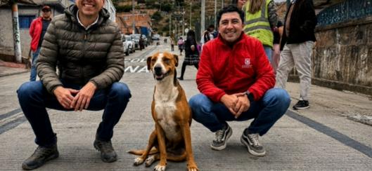 tarjeta noticia