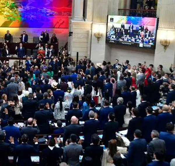 Centro Democrático busca contrarreforma pensional, ley anticapuchos y bajar gasto en campaña