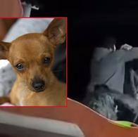 Asesinan en Fusagasugá a un hombre porque supuestamente golpeó a un perro