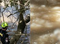 Creyeron ver un cuerpo en el río Saldaña, pero era la piel de una res